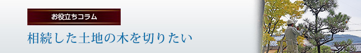 相続した土地の木を切りたい